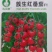 簇生红番茄种子-适应性强四季可种口感脆嫩微甜