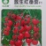 簇生红番茄种子-适应性强四季可种口感脆嫩微甜