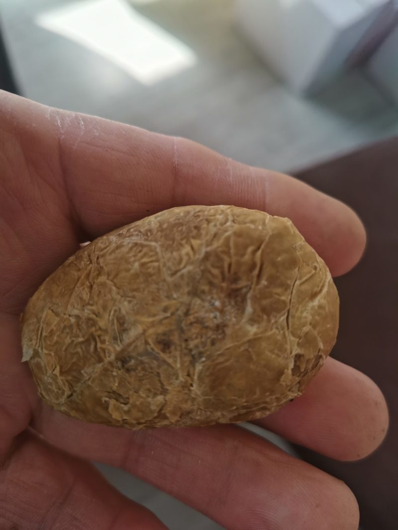 鹅宝