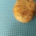 鹅宝