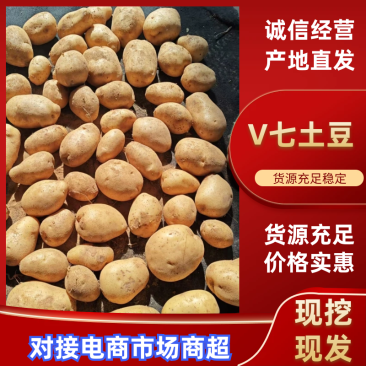 V7土豆产地直发3.5两起黄皮黄心土豆通天大量上市