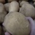 V7土豆产地直发3.5两起黄皮黄心土豆通天大量上市