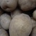 V7土豆产地直发3.5两起黄皮黄心土豆通天大量上市