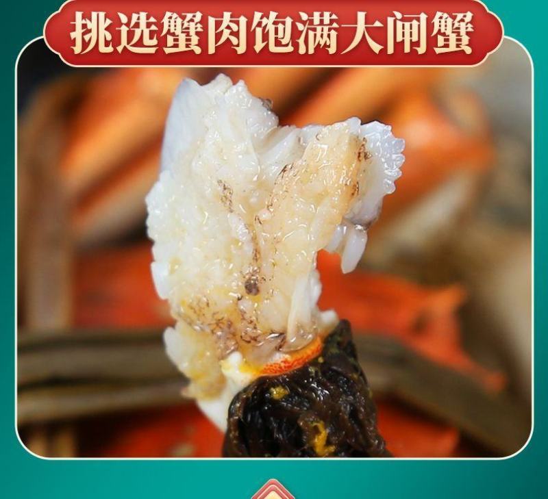 批发商用手工蟹粉活蟹现拆蟹粉兴化优质蟹肉