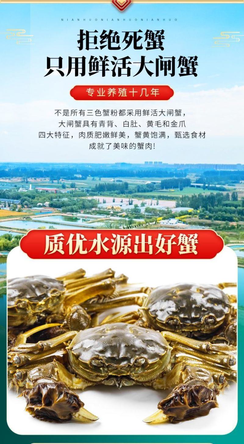 批发商用手工蟹粉活蟹现拆蟹粉兴化优质蟹肉