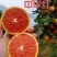 精品甜橙大量现货，树上鲜果，产地直发