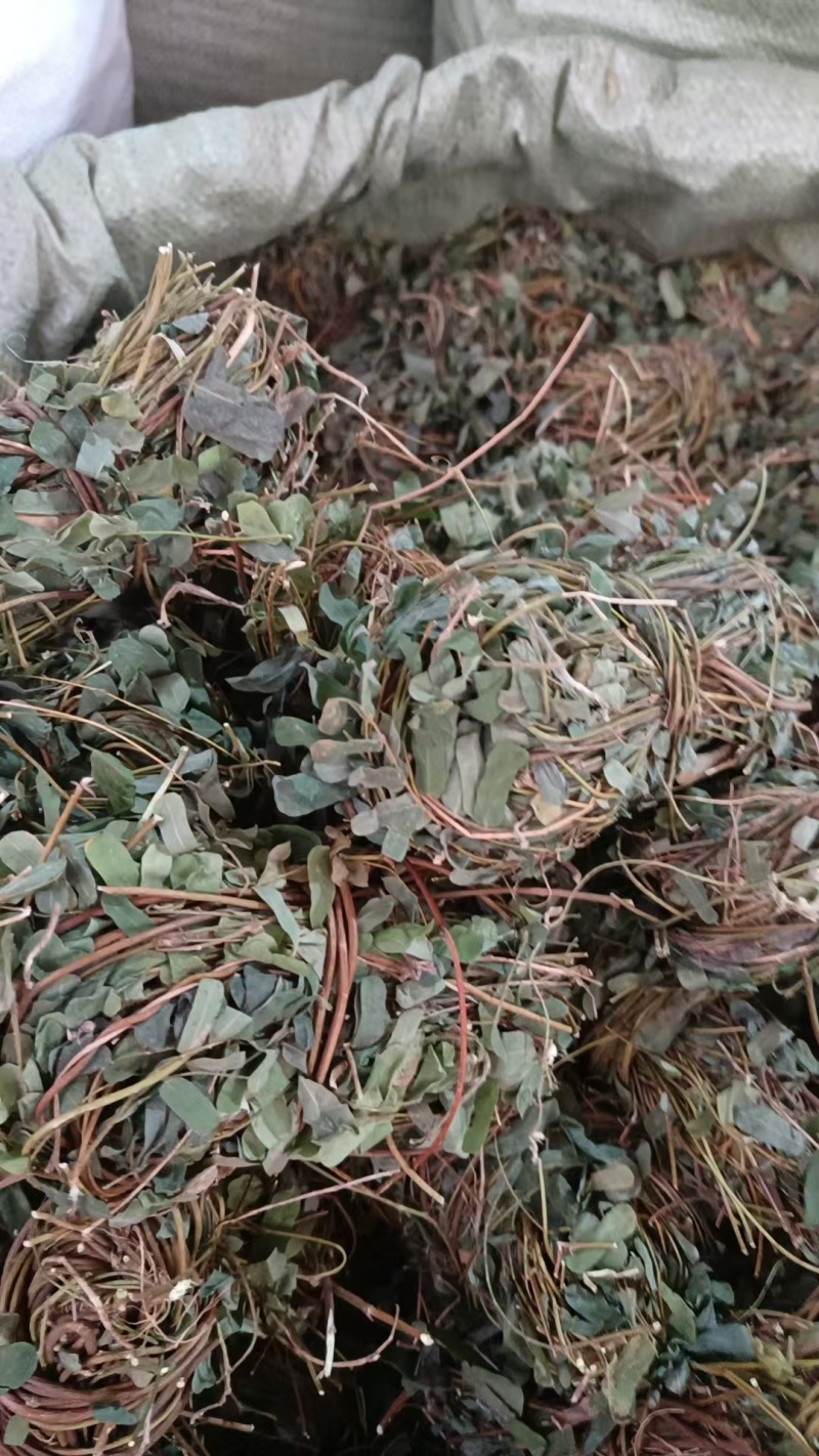 鸡骨草
