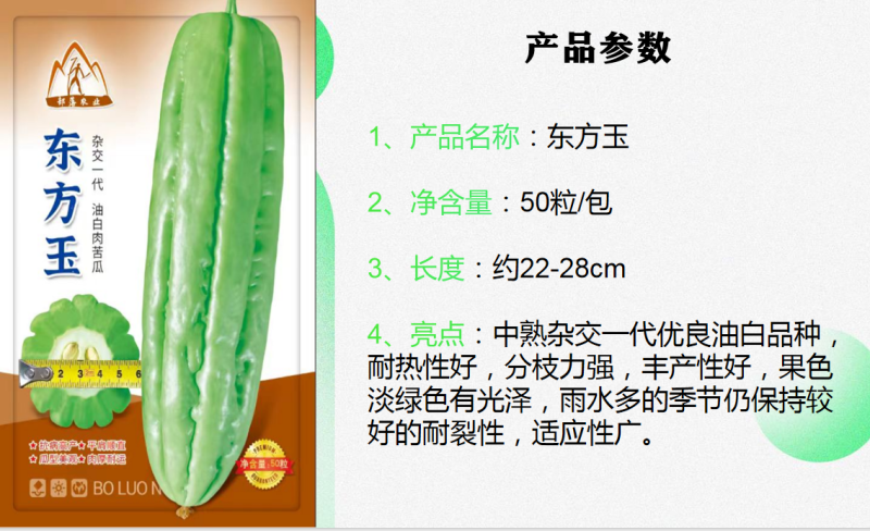 东方玉苦瓜中熟油白品种耐热性好分枝强丰产耐裂性好