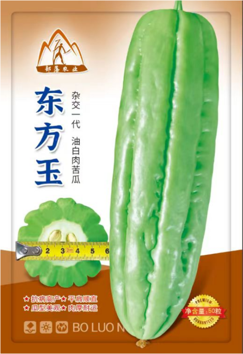 东方玉苦瓜中熟油白品种耐热性好分枝强丰产耐裂性好