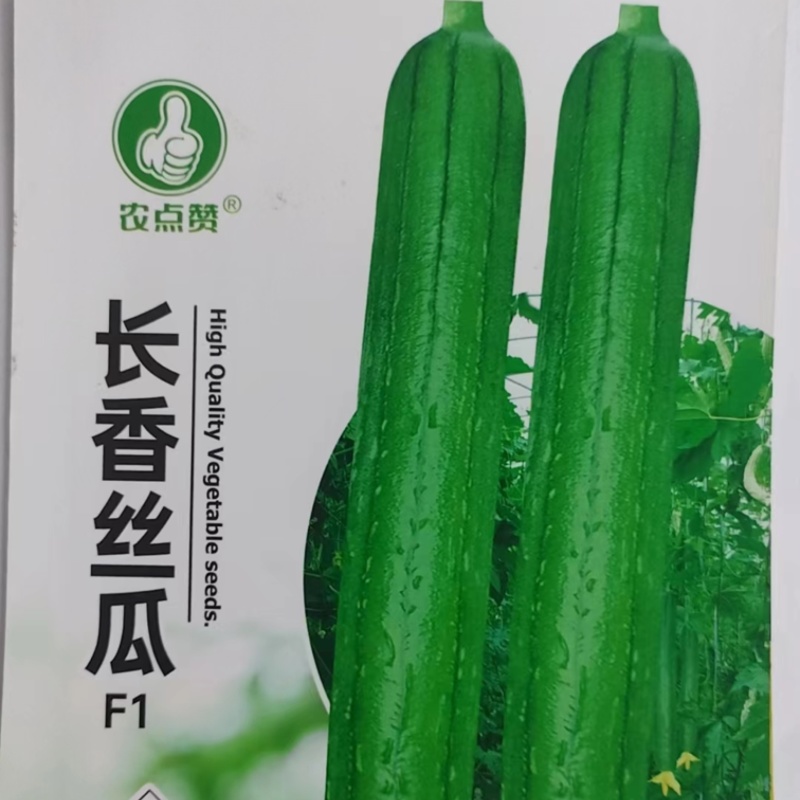 丝瓜种子-长香丝瓜嫩滑爽口早熟品种肉厚清香