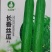 丝瓜种子-长香丝瓜嫩滑爽口早熟品种肉厚清香