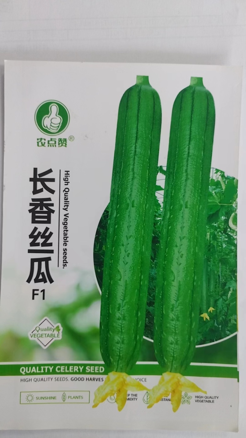 丝瓜种子-长香丝瓜嫩滑爽口早熟品种肉厚清香
