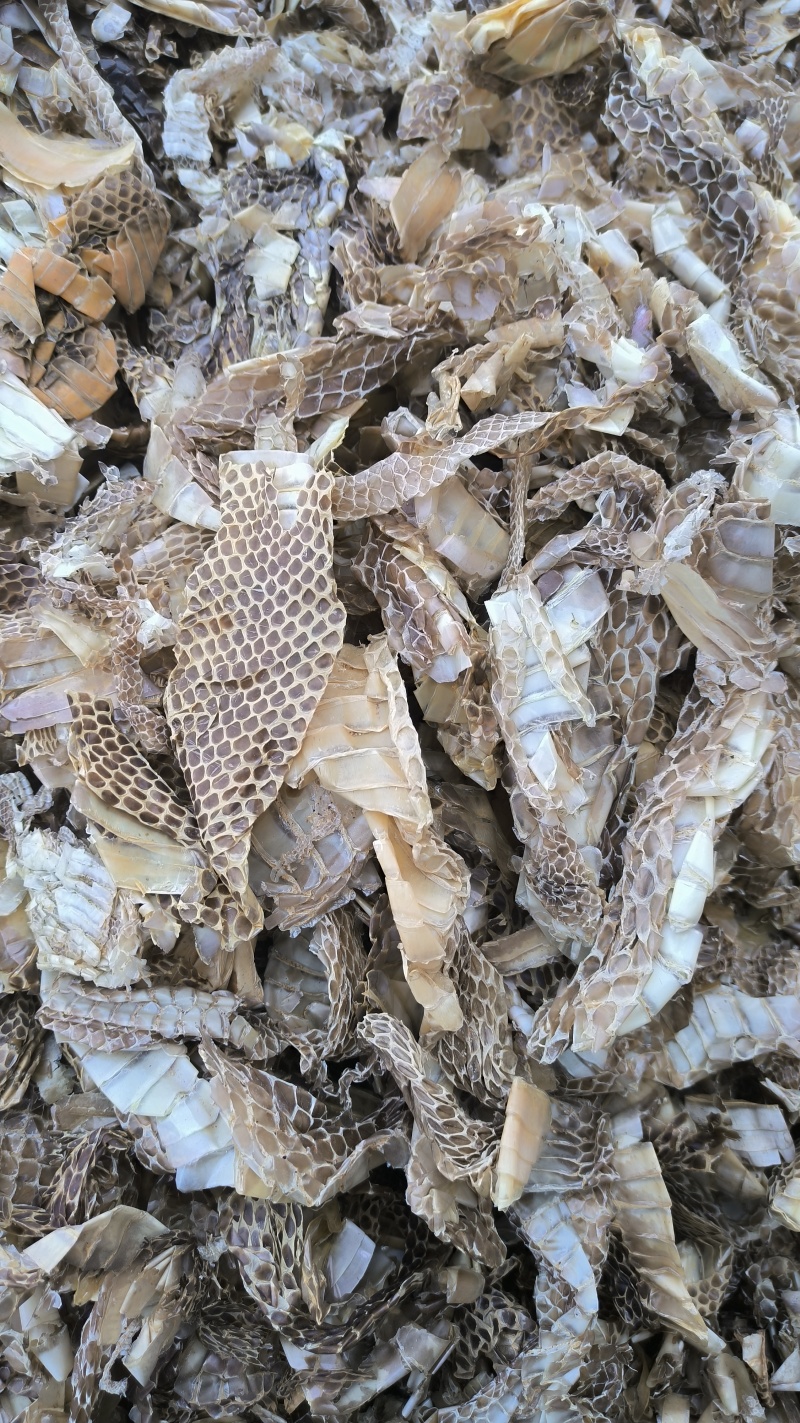 蛇皮蛇蜕龙衣长虫皮批发各种中药材质量保证量