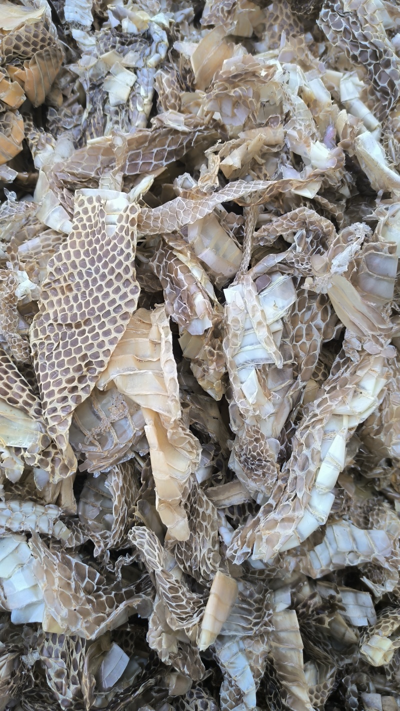 蛇皮蛇蜕龙衣长虫皮批发各种中药材质量保证量