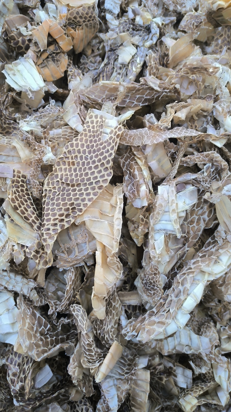 蛇皮蛇蜕龙衣长虫皮批发各种中药材质量保证量