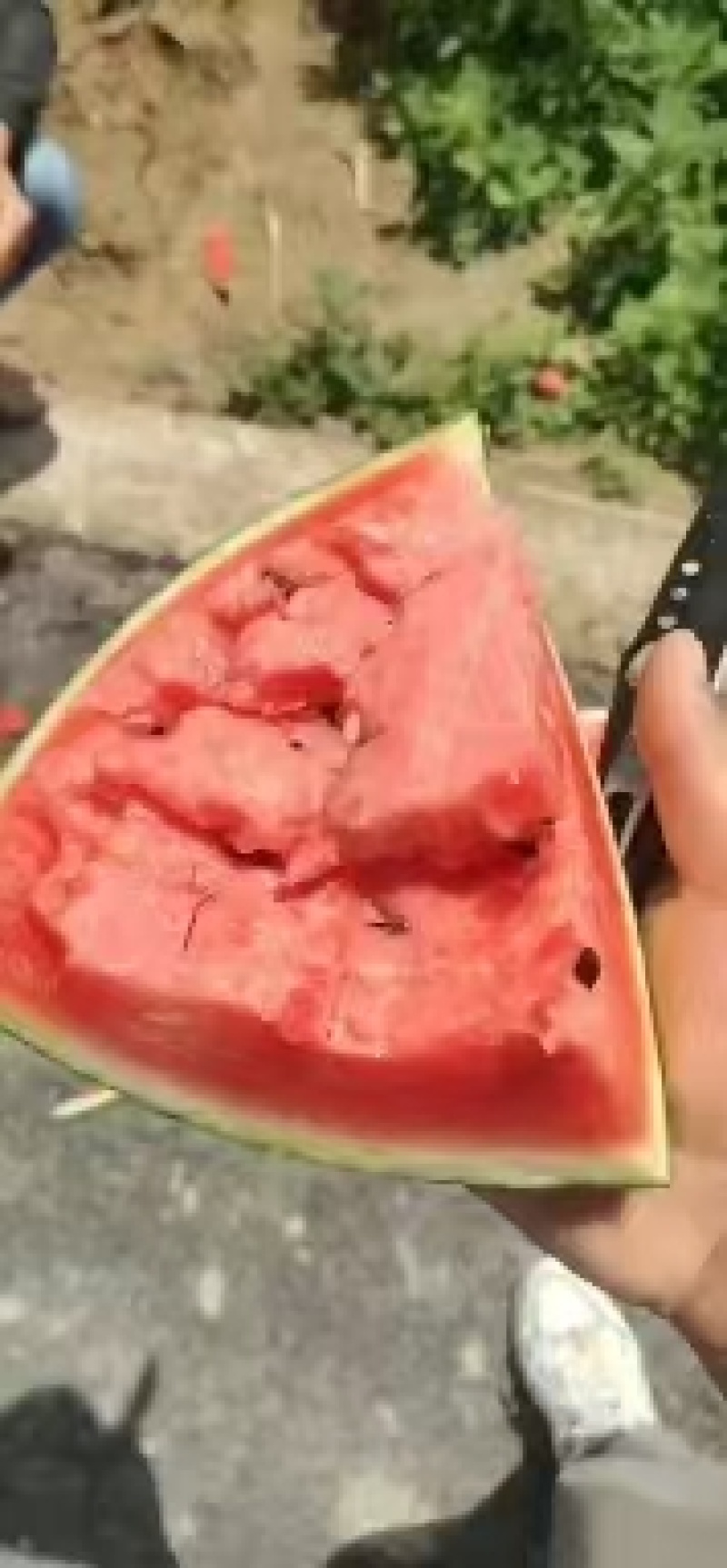 陕西西瓜/美都西瓜/无籽甜王/产地直发/全国代办代发，。