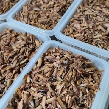 批发商用手工蟹腿肉活蟹现拆兴化红膏大闸蟹