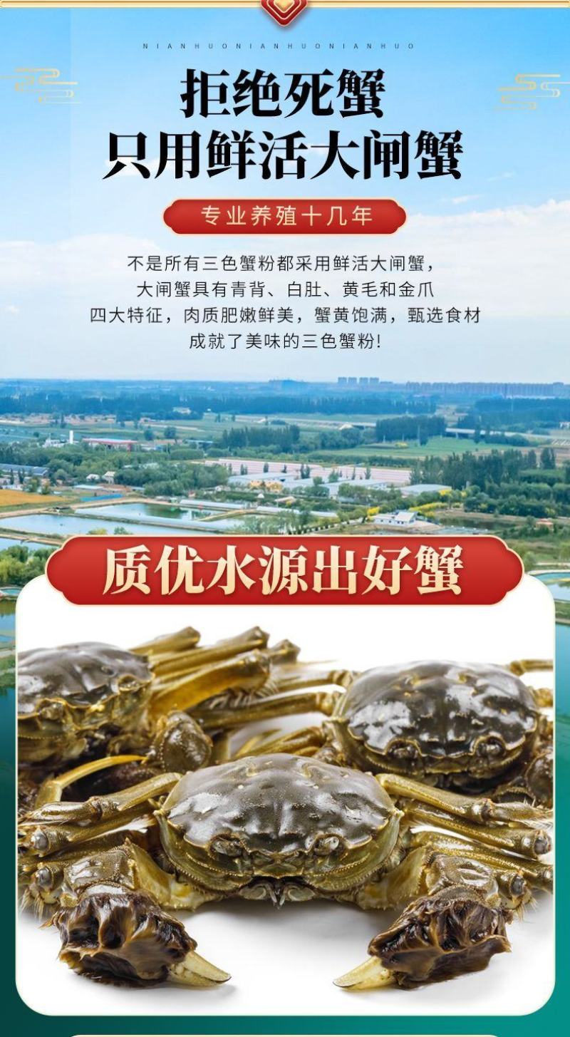 批发商用手工蟹腿肉活蟹现拆兴化红膏大闸蟹