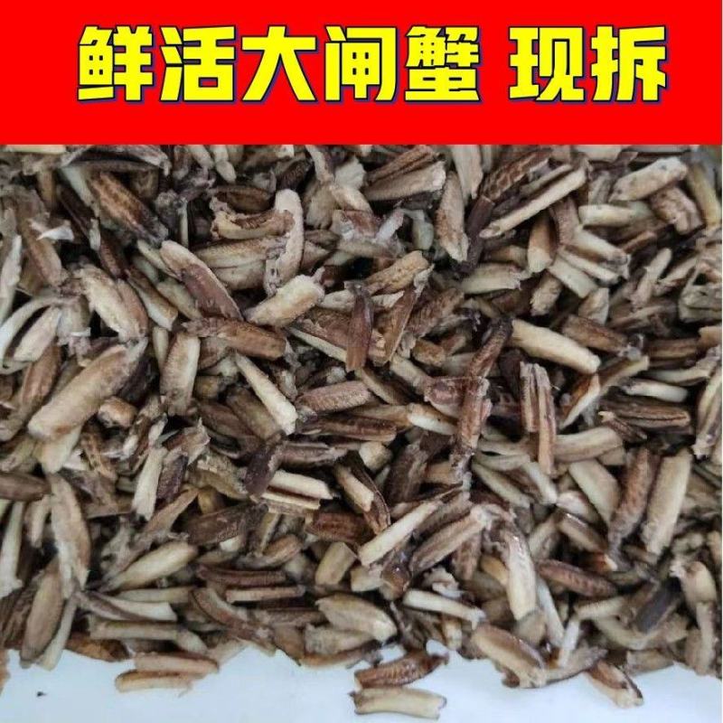 批发商用手工蟹腿肉活蟹现拆兴化红膏大闸蟹