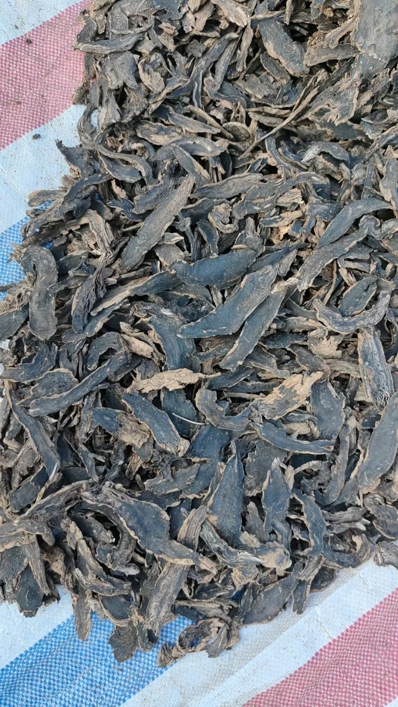 玄参元参中药材批发玄参质量保证量大从优