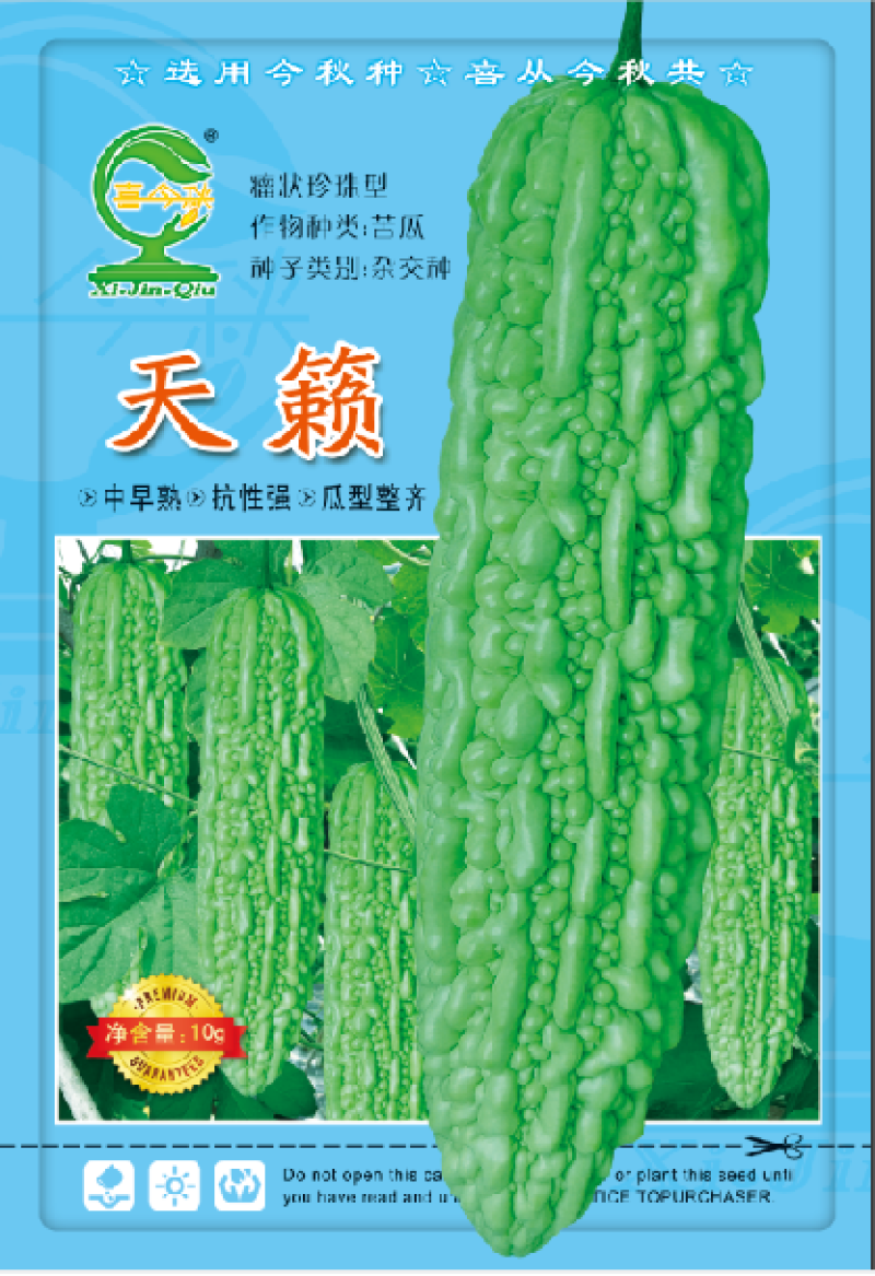 【天籁珍珠苦瓜】杂交品种早中熟皮浅绿色瓜身肥