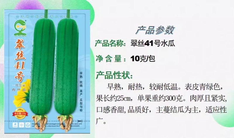 【翠丝41号水瓜】耐寒耐热性佳肉质紧致坐果能力强
