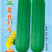 【翠丝41号水瓜】耐寒耐热性佳肉质紧致坐果能力强