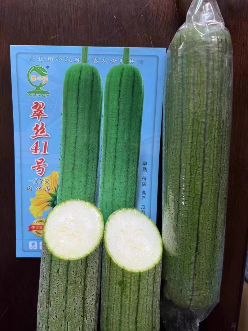 【翠丝41号水瓜】耐寒耐热性佳肉质紧致坐果能力强