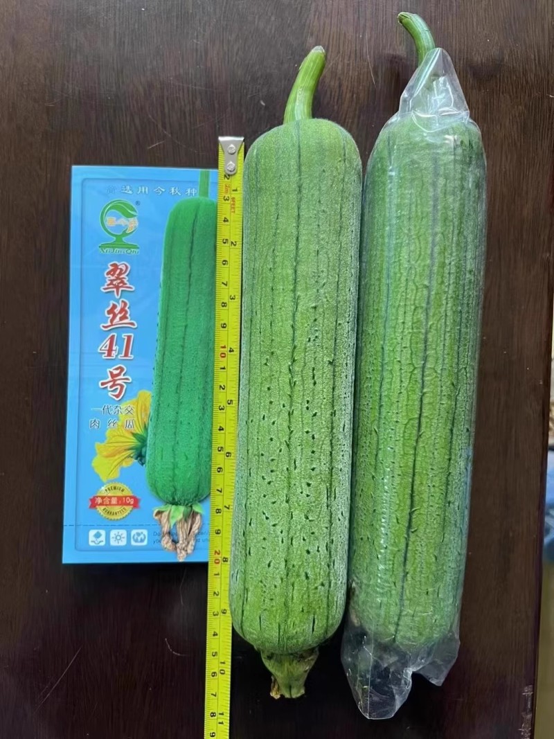 【翠丝41号水瓜】耐寒耐热性佳肉质紧致坐果能力强