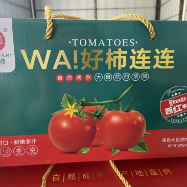 普罗旺斯口感西红柿