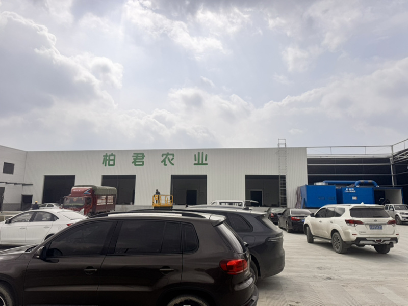 意大利生菜