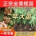 金果榄训化二代苗