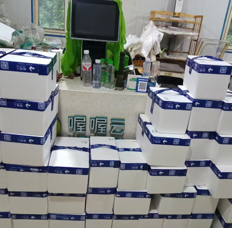 现杀《老母鸡》真空包装3斤左左包邮发货青脚高山散养