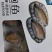 鲍鱼