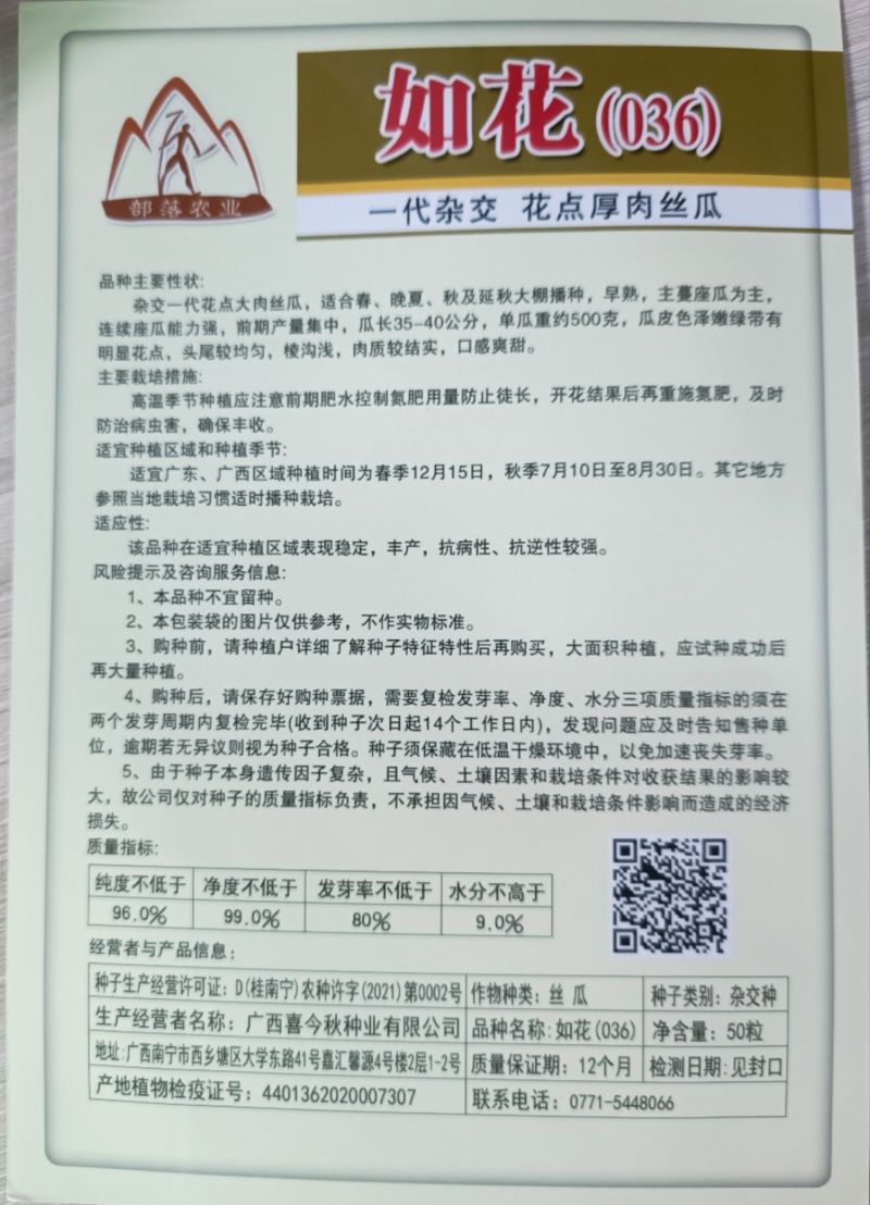 【如花036丝瓜种子】早熟皮嫩绿带花点均匀肉结实爽脆