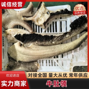 牛肚领肚叉大量上市产地直发，品质保证，服务周到诚信经营