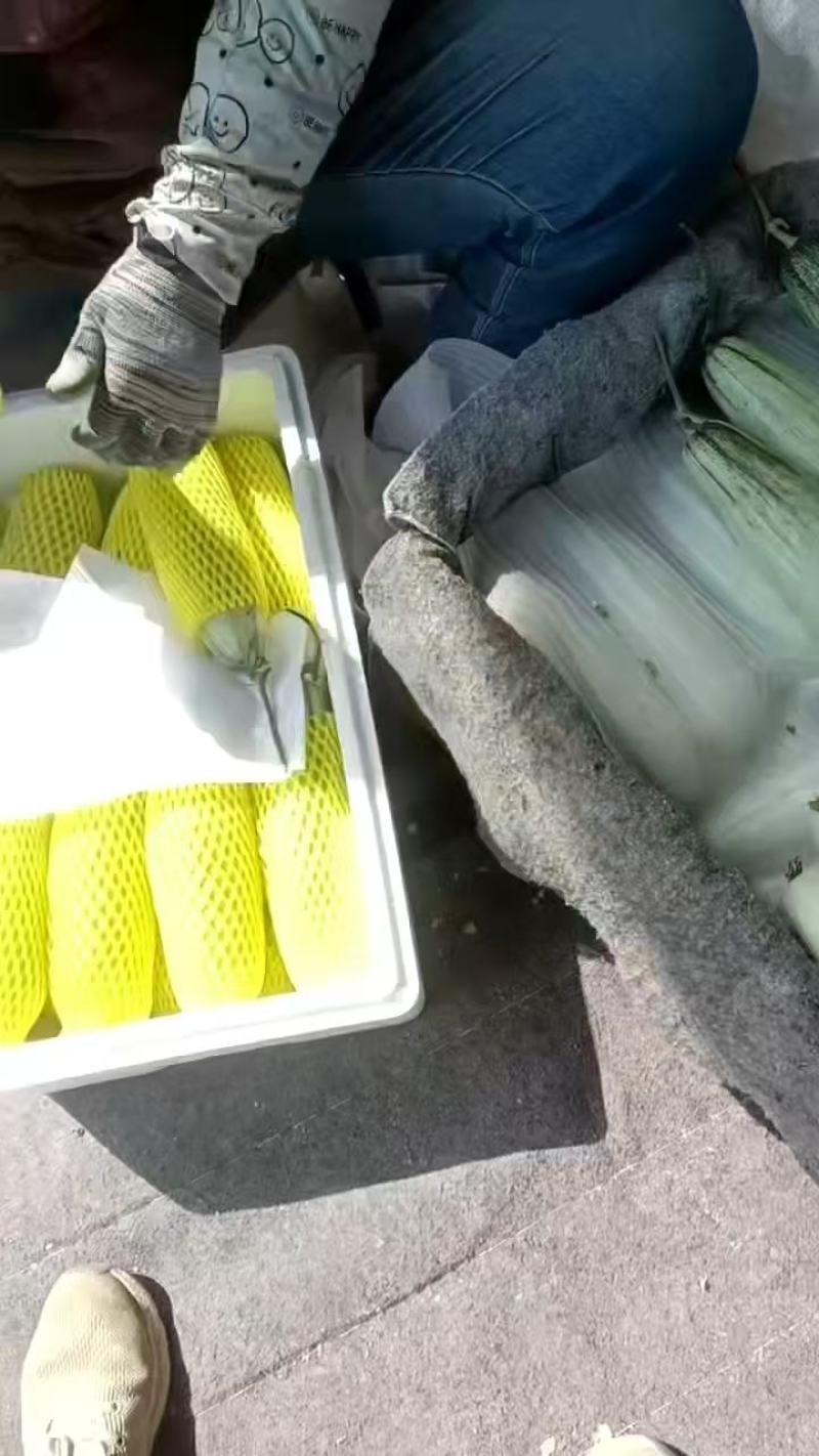 [热卖中]博洋六大量上市产地直发价格优惠欢迎来电