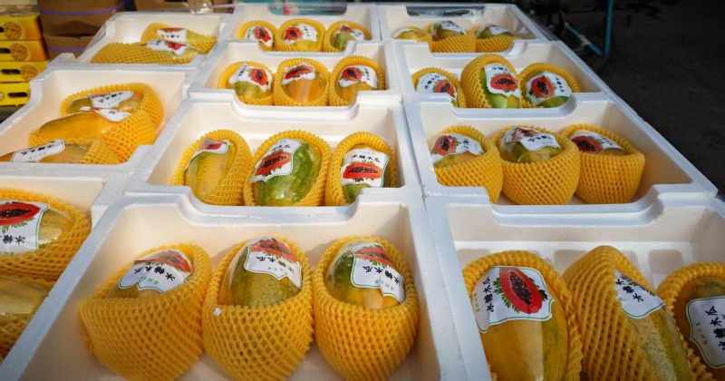 木瓜