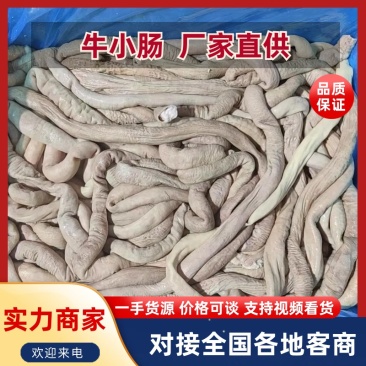 八斤卷牛小肠大量上市，产地直发，品质保证，服务周到