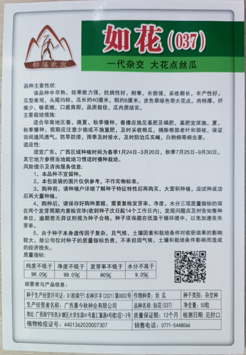 【如花037丝瓜】杂交一代中熟大花点丝瓜肉结实产量佳
