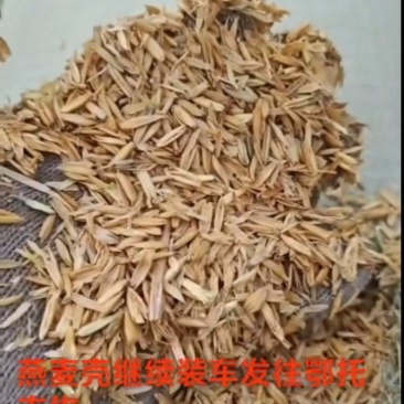 燕麦壳