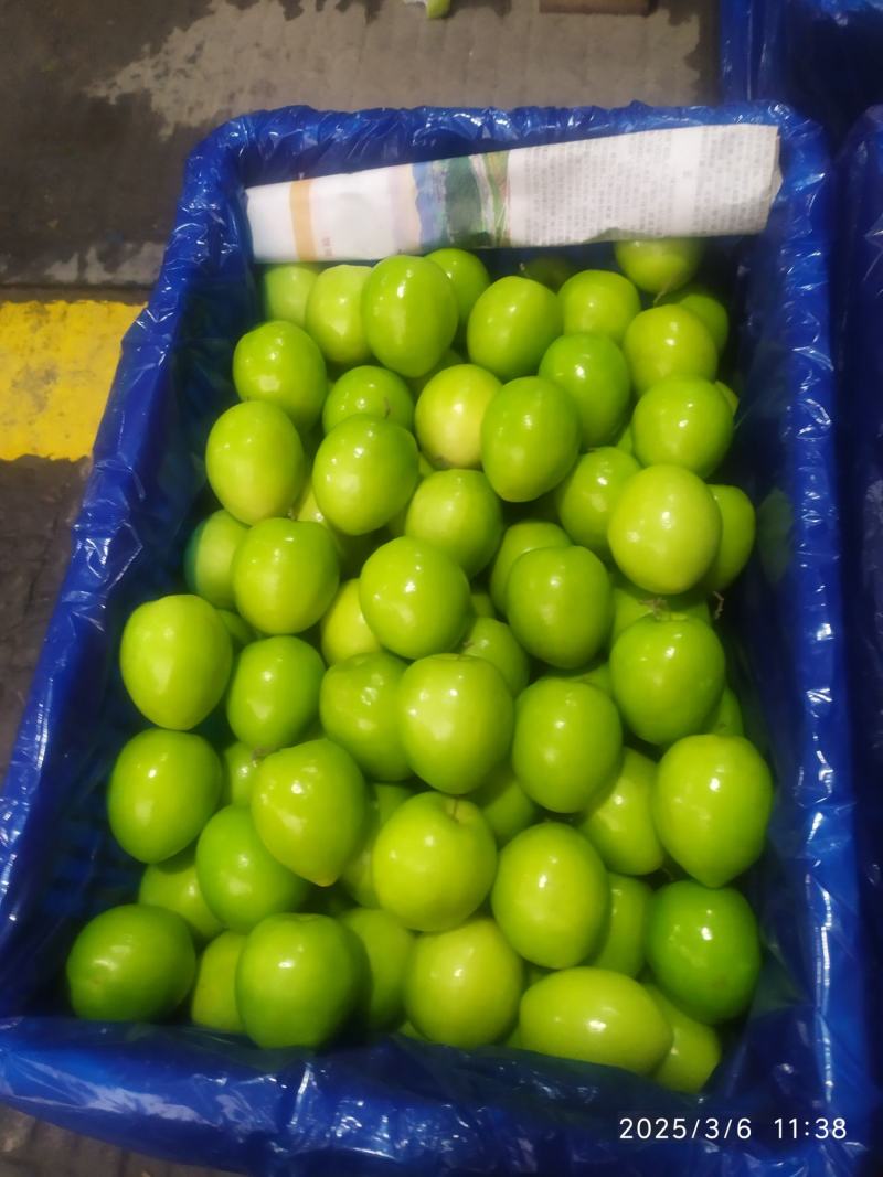 牛奶大青枣，欢迎老板选购