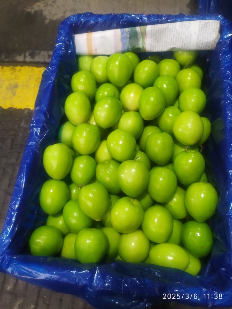 牛奶大青枣，欢迎老板选购