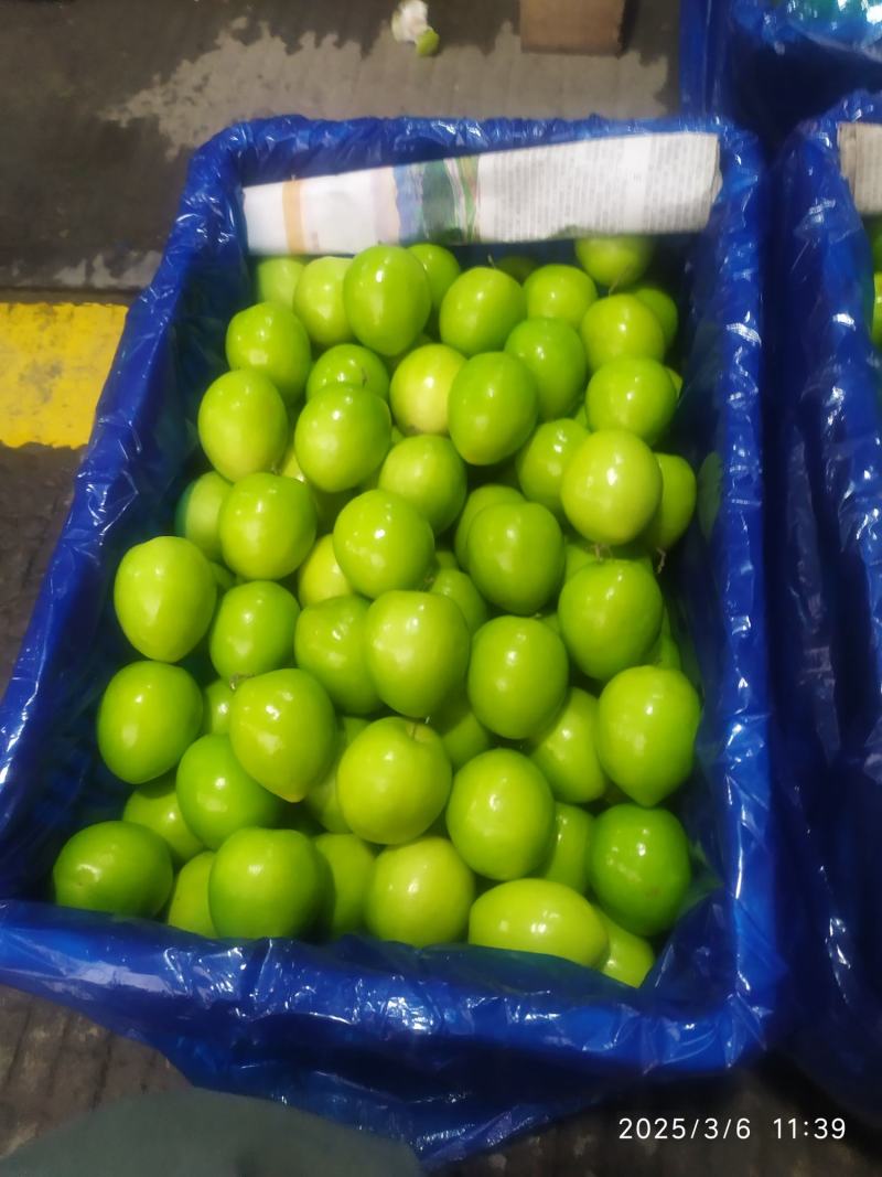 牛奶大青枣，欢迎老板选购