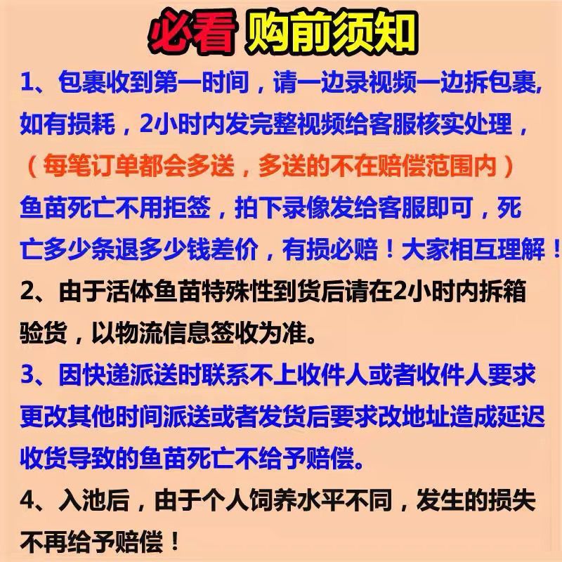 杂交山东黑鱼苗，财鱼苗，蛇鱼苗，