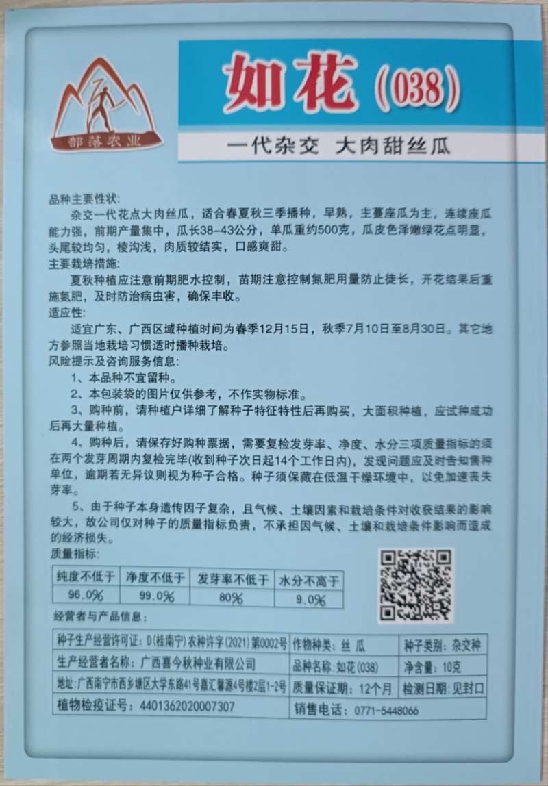 【如花038丝瓜种子】杂交一代极早熟大肉甜丝瓜座瓜佳