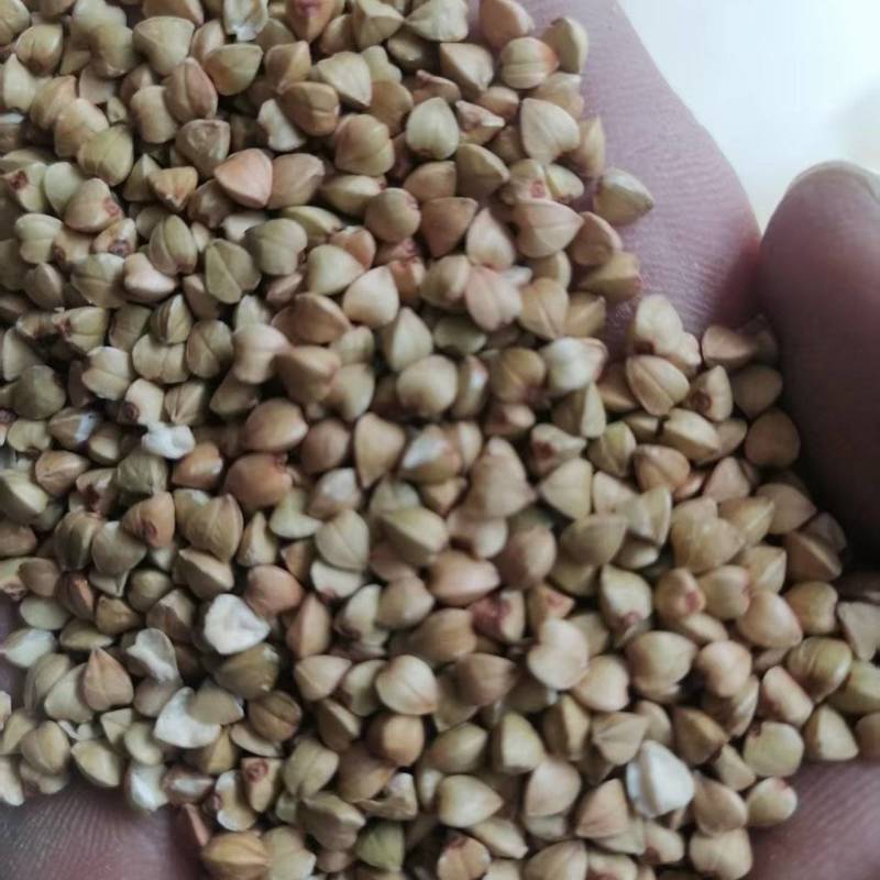 俺就爱吃荞麦米，嚼着香，吃完干活都有力气