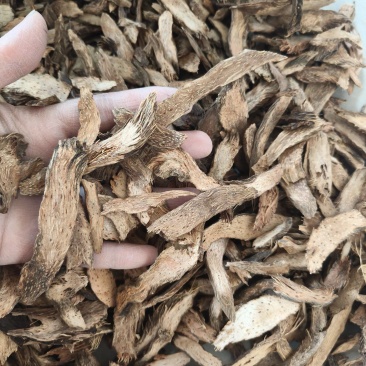千年健祥泰药材栈中药材批发零售实物拍摄量多从优欢迎咨询