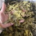十大功劳叶祥泰药材栈中药材批发零售实物拍摄量多从优欢迎