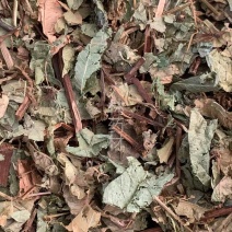 火炭母草【包邮】三斤起发货可批量可零售量大从优